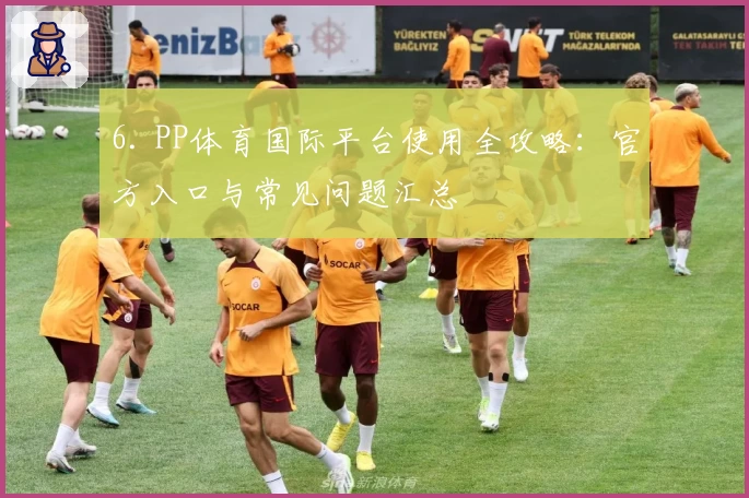 6. PP体育国际平台使用全攻略：官方入口与常见问题汇总